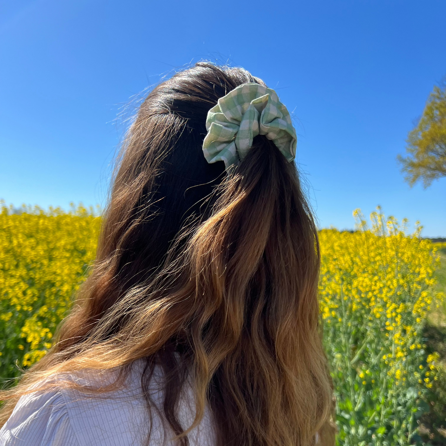 Lot de 2 chouchous verts